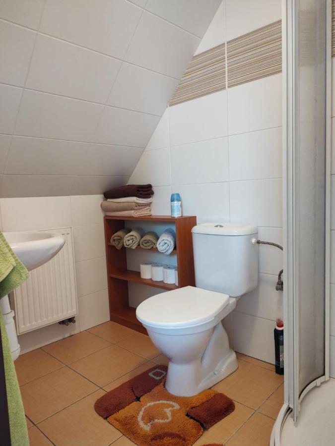 Apartman V Podkrovi Apartment Dobruška Exterior foto